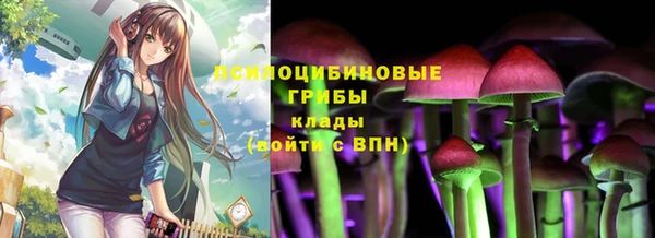 МДПВ Балахна
