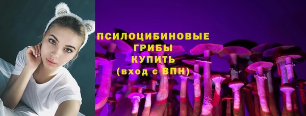 МДПВ Балахна