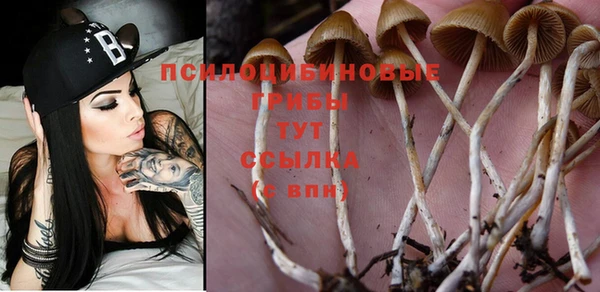 мдпв Балабаново