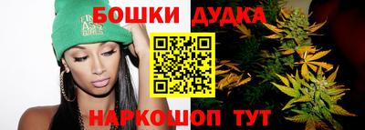индика Ирбит
