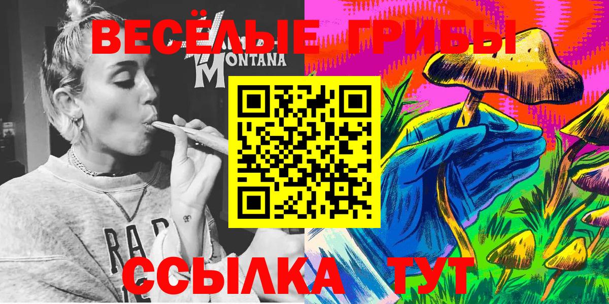 Псилоцибиновые грибы Psilocybine cubensis Новый Уренгой