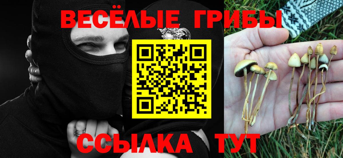 Галлюциногенные грибы GOLDEN TEACHER  Вход с VPN  Новый Уренгой 